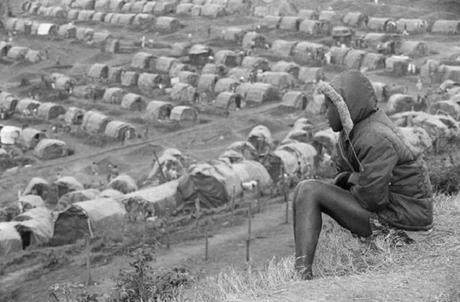 CAP. 34 . . . . . . . . . . . . . . . . . . . . . . . . . . . . . . Andanzas y tropezones de Dikembe Biyombo