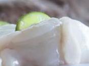 Rape, pescado óptimo para fiestas