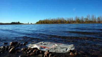 El Limay sufre daño ambiental por la contaminación