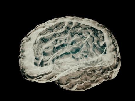 Las experiencias religiosas estimulan el cerebro de la misma manera que el sexo o las drogas