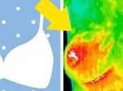 asombrosas razones para deshacerte sujetador