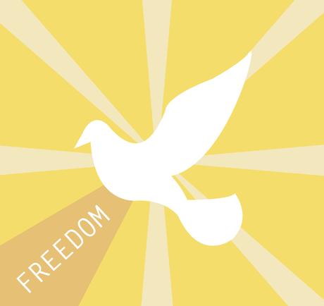 8 asombrosas razones para deshacerte de tu sujetador