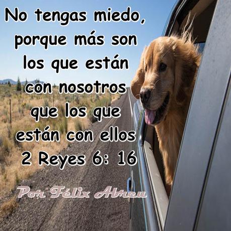 Percepción y realidad