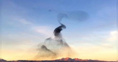 El inexplicable fenómeno que hipnotiza a todos quienes lo ven