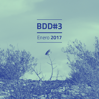 Municipalidad de Cordero: Comienza la 4º edición de la Residencia artística Barda del Desierto