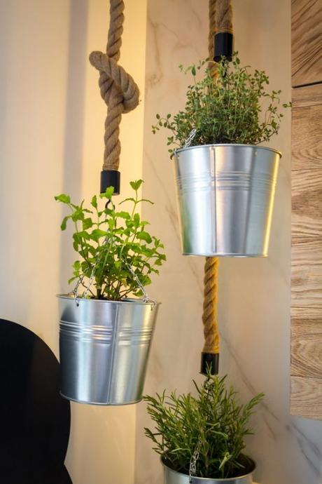 cubos colgados con plantas aromaticas