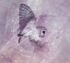 [Top 2016] Los favoritos telúricos de Sr. Bungle