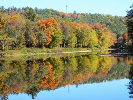 Los hombres se presentan con problemas de visión mas avanzados que las mujeres