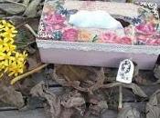 caja pañuelos, puerta ratoncito