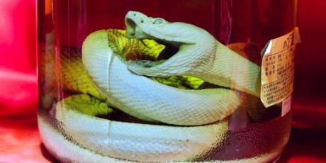 Chinju-ya-restaurant6