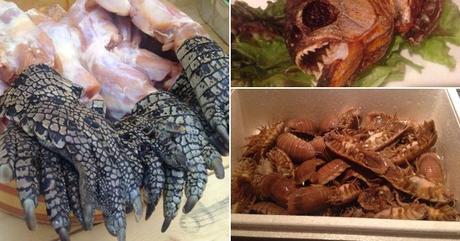 Chinju-ya-restaurant