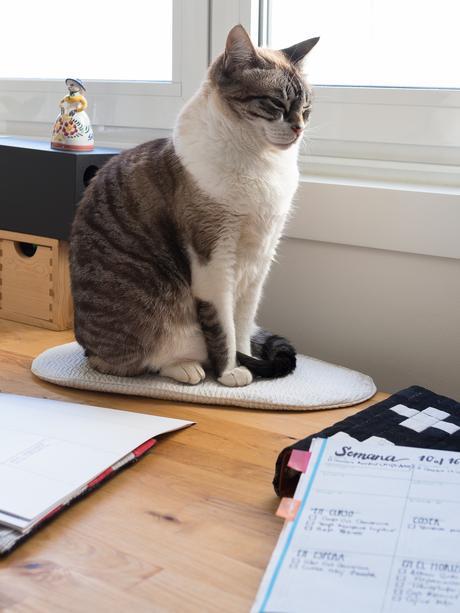 Un año más: mis logros y mis propósitos libretas_03_20161211.jpg