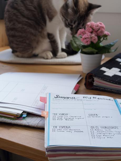 Un año más: mis logros y mis propósitos libretas_04_20161211.jpg