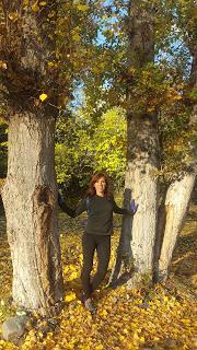 Tópicos y errores que hemos cometido al querer adelgazar (Reflexiones)