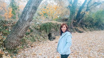 Tópicos y errores que hemos cometido al querer adelgazar (Reflexiones) Tópicos y errores que hemos cometido al querer adelgazar (Reflexiones)