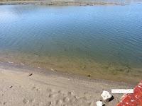 Lagos y ríos contaminados en Neuquén.-