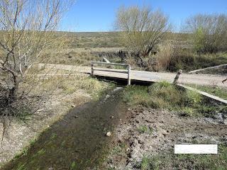 Lagos y ríos contaminados en Neuquén.-
