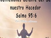 Alguien quien celebrar