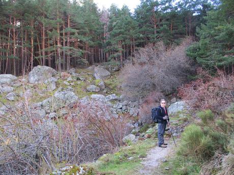 NAJARRA POR SENDA SANTÉ