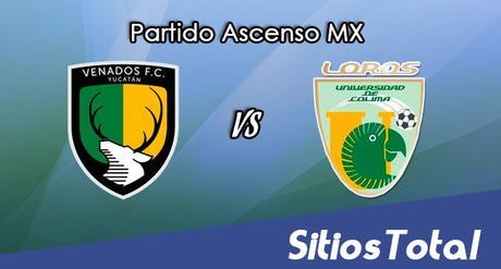 Venados FC vs Loros de Colima en Vivo – Online, Por TV, Radio en Linea, MxM – Clausura 2017 – Ascenso MX Venados FC vs Loros de Colima en Vivo – Online, Por TV, Radio en Linea, MxM – Clausura 2017 – Ascenso MX