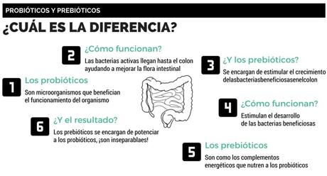 ¿Sabes cuando tomar Probióticos?