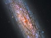 ✨NGC Steven Mazlin