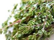 producto herbolario: Tomillo