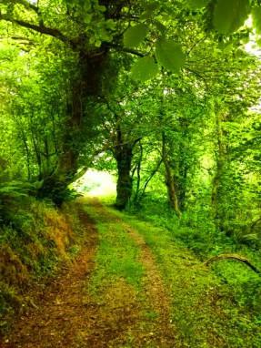 ¿Qué es DESPERTAR? I