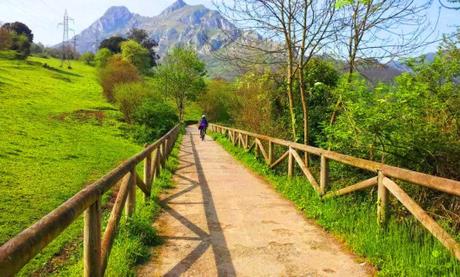 ¿Qué es DESPERTAR? I