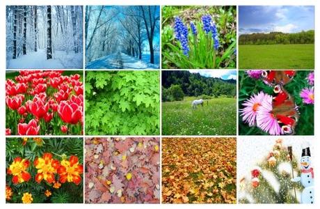 2017: Año de la efectividad personal