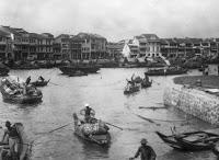 El tiempo de las orquídeas salvajes - Nicole C. Vosseler