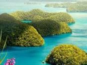 tiempo orquídeas salvajes Nicole Vosseler