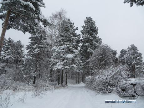 Paisaje navideño