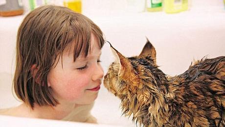 “Es como si hubiera caído del cielo”, así ayudó la gata Thula a Iris, una niña con autismo, a ver el mundo de otra forma