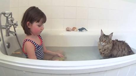 “Es como si hubiera caído del cielo”, así ayudó la gata Thula a Iris, una niña con autismo, a ver el mundo de otra forma