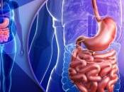 bacterias nuestro intestino controlan cerebro