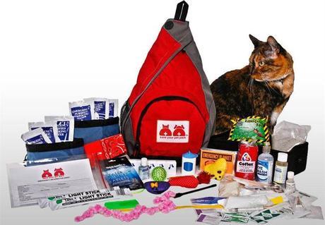 Prepara un kit de emergencias para tus mascotas