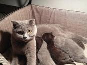 ¿Hay prepararse para lactancia? Carmen Vega