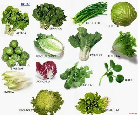 2548.- Platos de hojas verdes de temporada