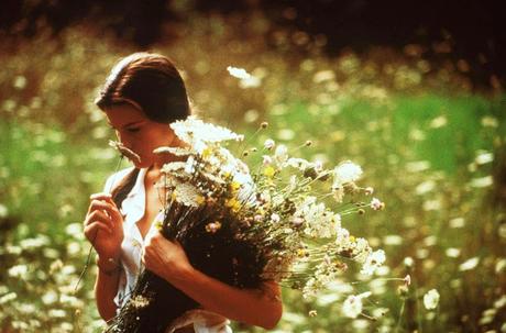 Belleza robada ( Stealing Beauty)