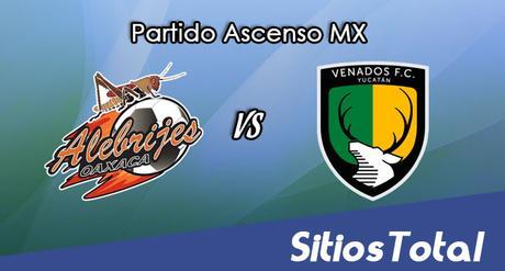 Alebrijes de Oaxaca vs Venados FC en Vivo – Online, Por TV, Radio en Linea, MxM – Clausura 2017 – Ascenso MX Alebrijes de Oaxaca vs Venados FC en Vivo – Online, Por TV, Radio en Linea, MxM – Clausura 2017 – Ascenso MX