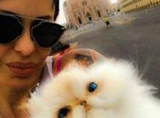 Mujer logra viajar gato muerto todas partes gracias controversial idea