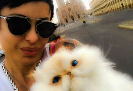 Mujer logra viajar con su gato muerto a todas partes gracias a una controversial idea