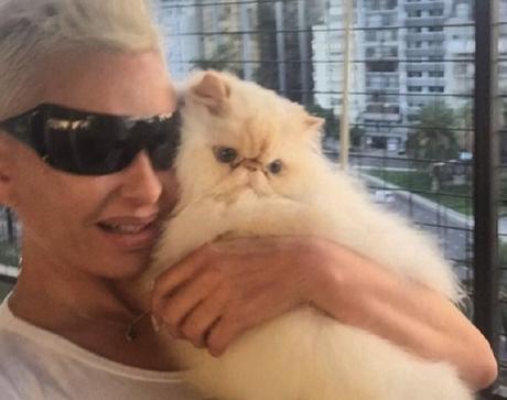 Mujer logra viajar con su gato muerto a todas partes gracias a una controversial idea