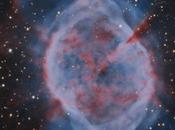 nebulosa Dumbbell Gozé