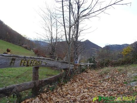 Ruta a Felechosa desde el Alto Vallina