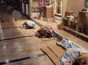 Permiten perros callejeros dormir dentro centros comerciales Estambul