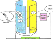 Estética Trascendental Kant