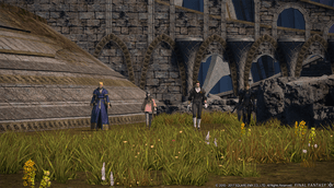 FFXIV_Screenshot_Further_Hildibrand_Adventures_PUB_Patch3_1483703031.5_35_06.01.2017