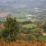 Cerca de la frontera